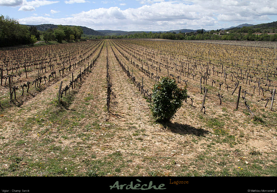 20120418_lagorce_vigier_champservit1