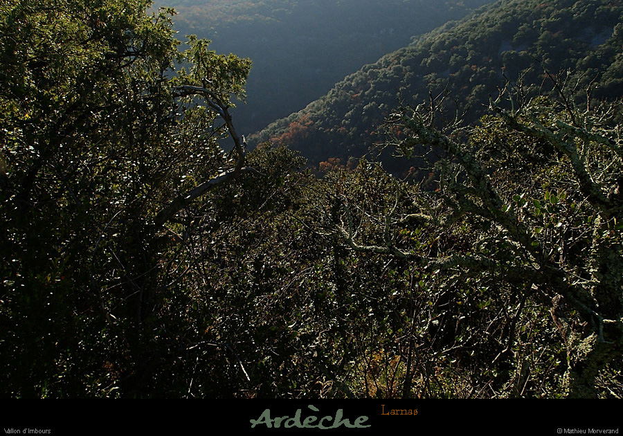 20131215_larnas_vallondimbours