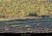 20051008_larnas_vigneetlavande