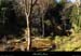 20131215_larnas_imbours_cascadedefontgrand