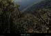 20131215_larnas_vallondimbours