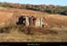 20131215_larnas_vieillebatteuse2