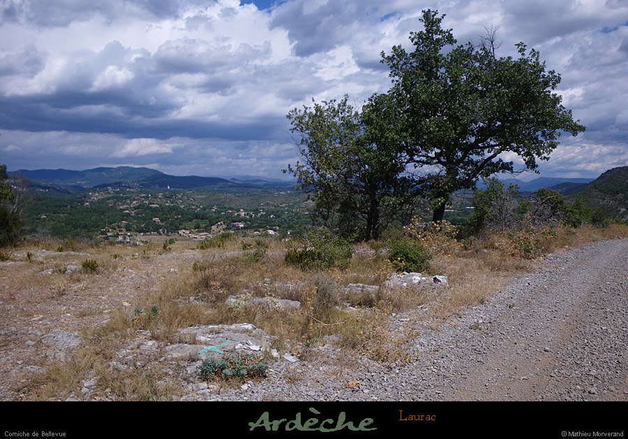 20100815_laurac_cornichemirabelle