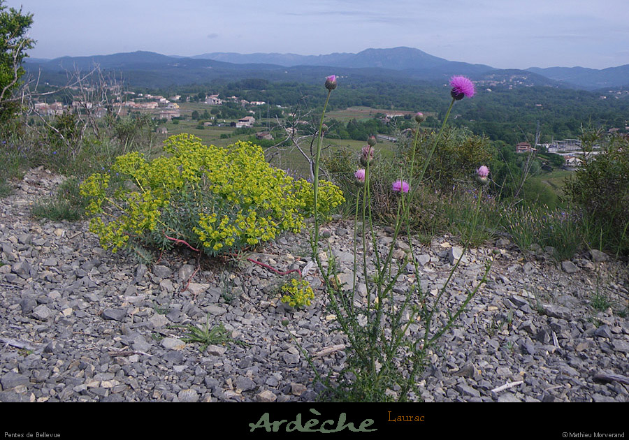 20110507_laurac_pentesdebellevue