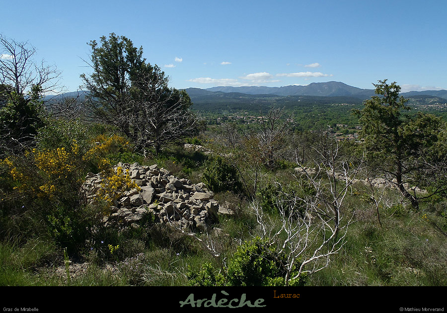 20130510_laurac_grasdemirabelle1
