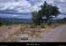 20100815_laurac_cornichemirabelle