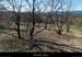 20151023_lauracbarrot
