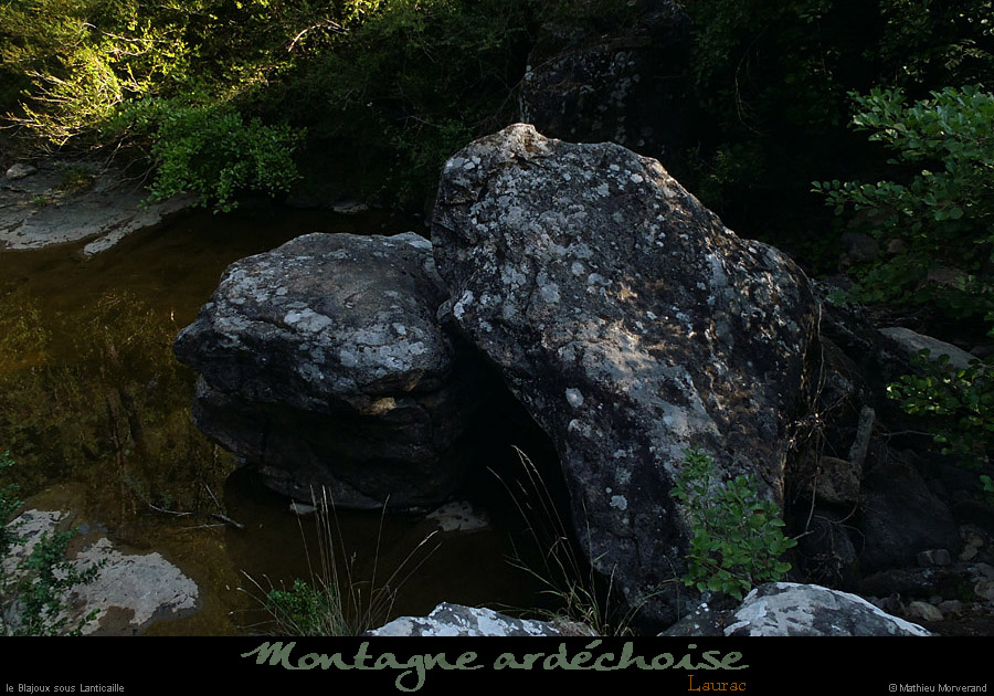 20120729_laurac_blajouxsouslanticaille