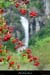20020909_cascadederochecolombe_11