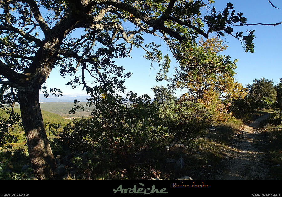 20131111_rochecolombe_sentierdaudegrin