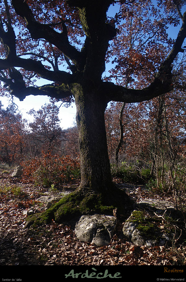 20110116_rosieres_sentierdevalla