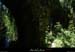 20100523_rosieres_remene_aqueduc2