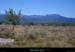 20100825_rosieres_grasdudeves