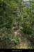 20120815_rosieres_sentierdevalla2