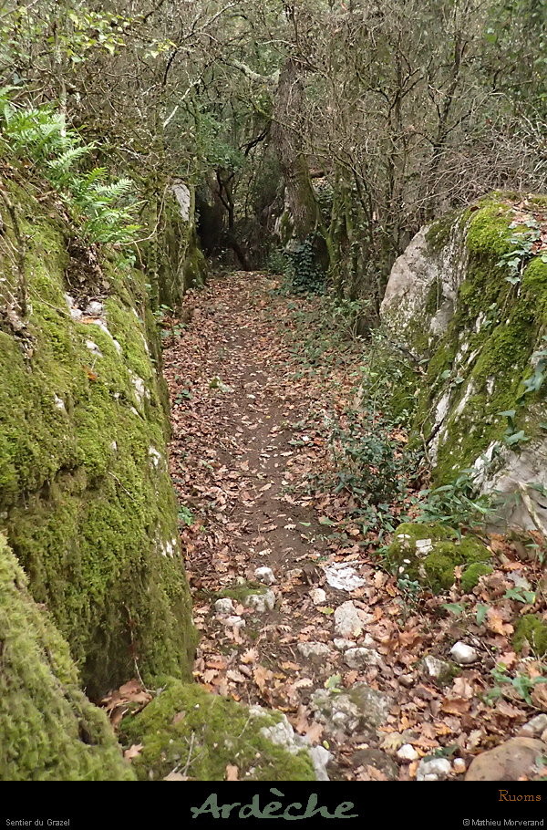 20181028_043