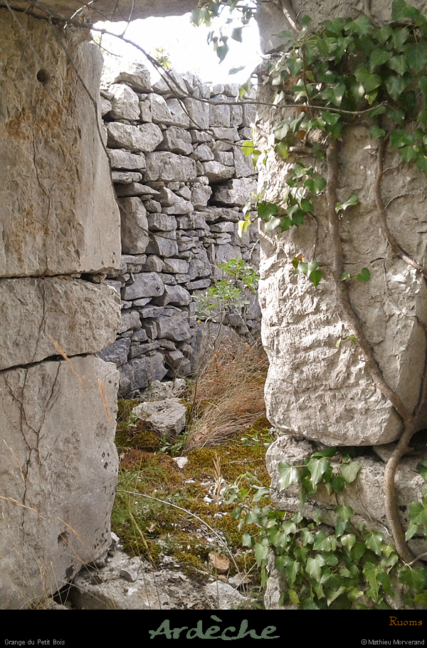 20190715_01