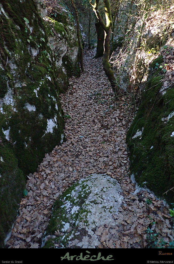 20200223_grazelsentier1