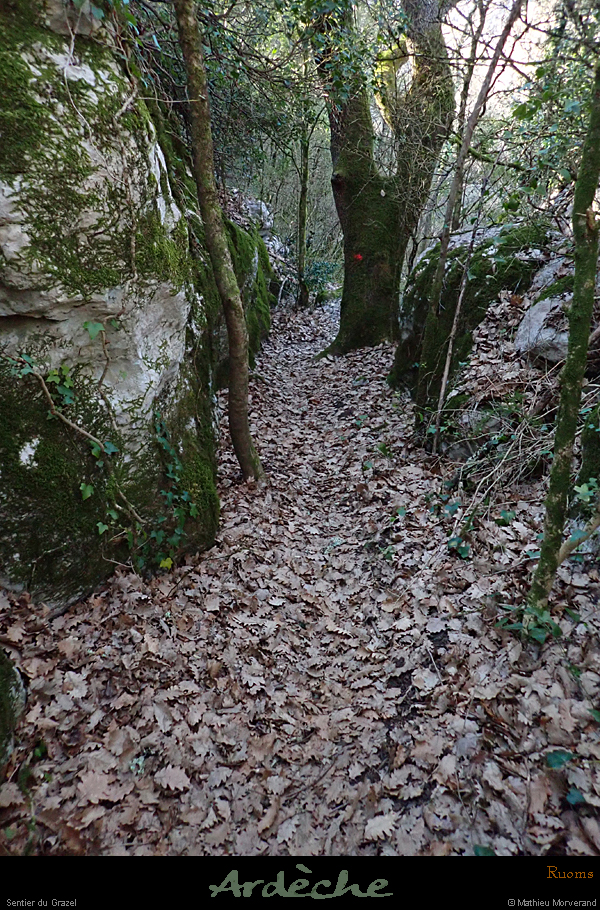 20200223_grazelsentier2