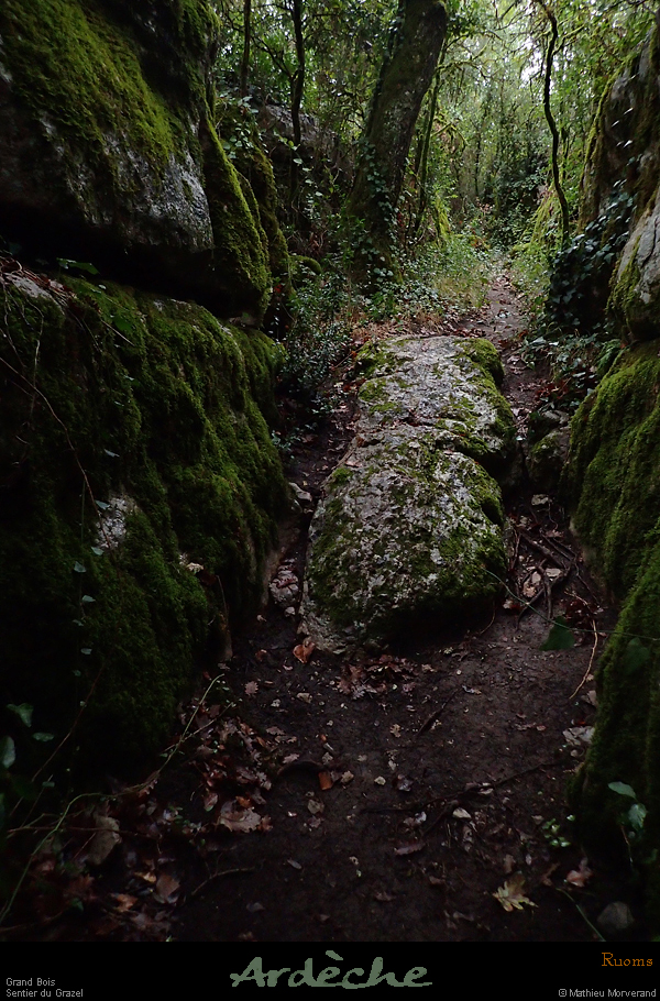 20240908_02