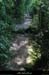 20110501_ruoms_petitbois_chemindesgorges