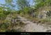 20150621_ruoms_petitbois