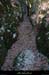 20200223_grazelsentier1