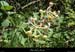 20240518g44