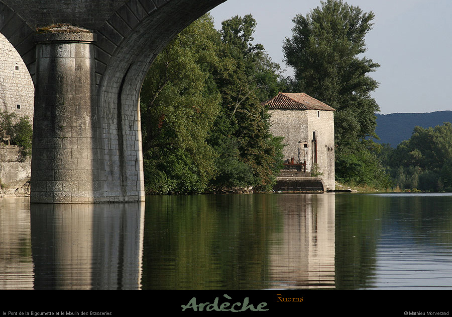 20080807_amptbigournette