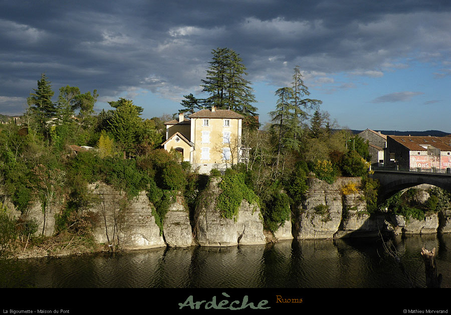 20090327_bigournette2