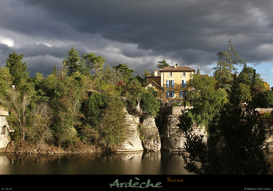 20131110_saveldebigournette