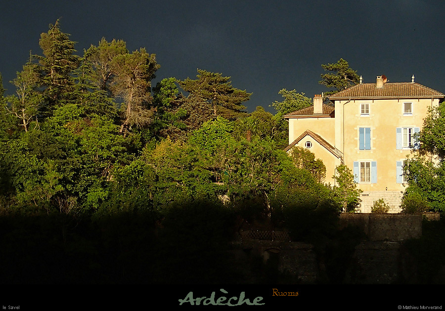 20150514_savel4