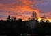 20091217_bigournette2