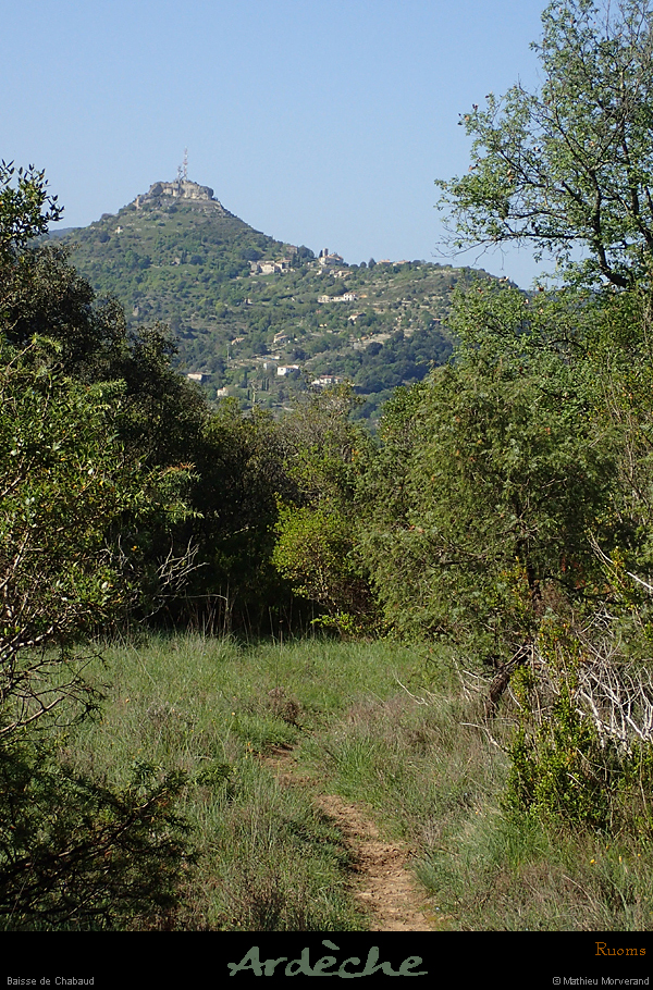 20180424_ruoms_baissechabaud