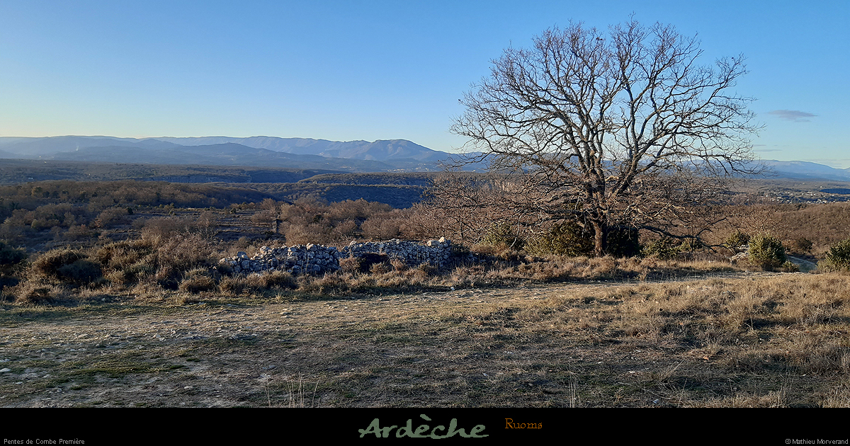 20200212_prepa01