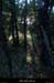 20160725_ruomsboisdesblaches