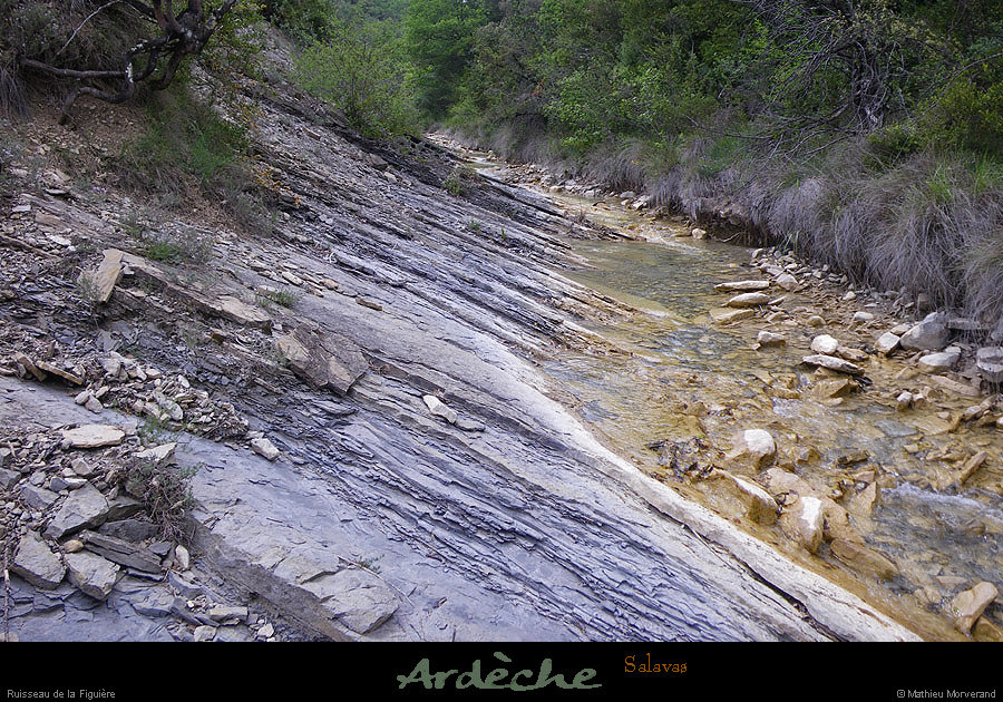 20100520_salavas_ruisseaudelafiguiere