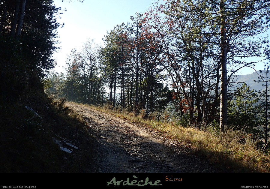 20161208_pistebrugieres