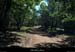 20130725_salavas_boisdesbruyeres