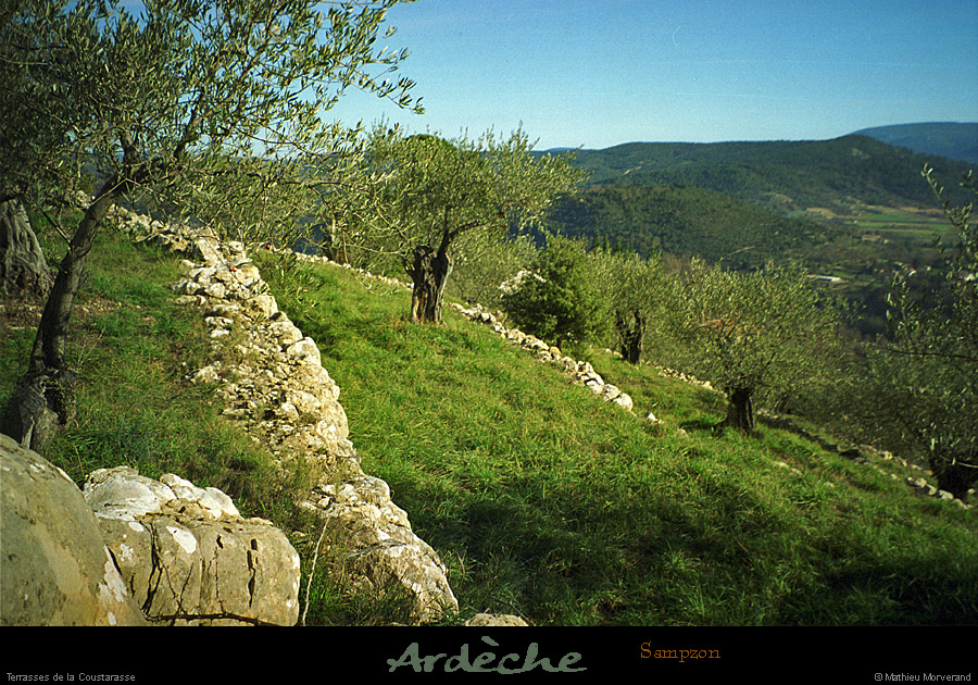 20031225_sampzon_lesrocheres_oliviers_2