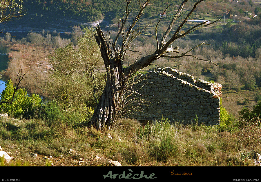 20031225_sampzon_ruinesouslesrocheres_1