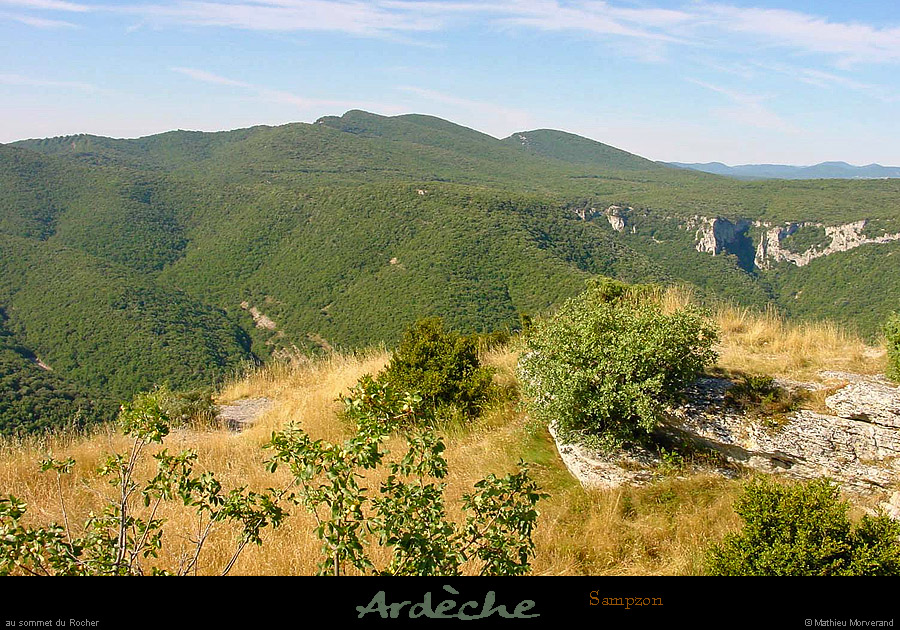 20000717_baumedelardieredurocherdesampzon