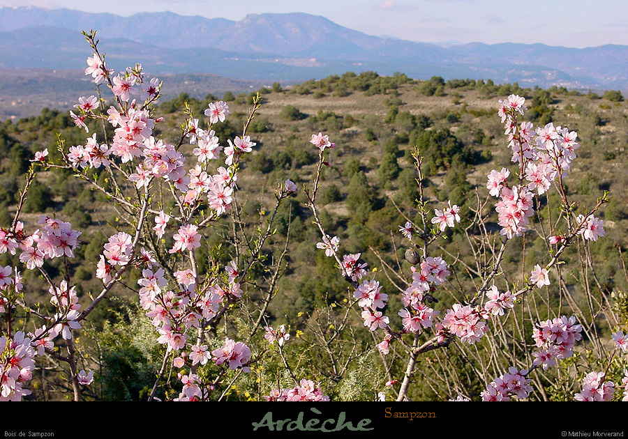 20020303_chamducrosdesampzon_1