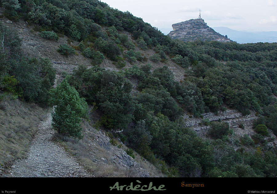 20030126_boisdesampzon_gr4_3