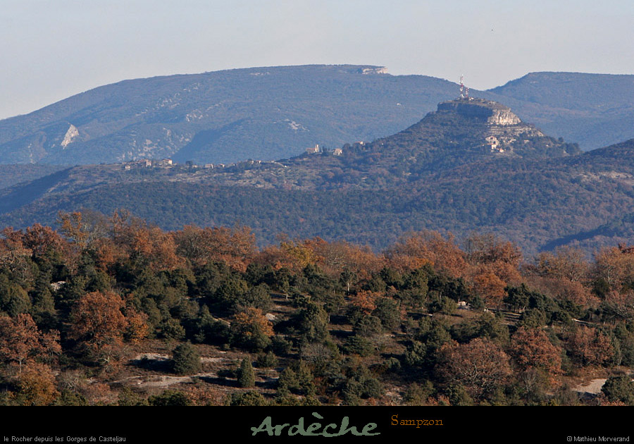 20101218_sampzondebelvoiseaux