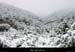 20001230_boisdesampzonsouslaneige_2