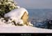 20011214_sampzon_boissouslaneige_02
