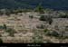 20050710_sampzon_cultureenetages