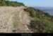 20051007_boisdesampzon_gr4