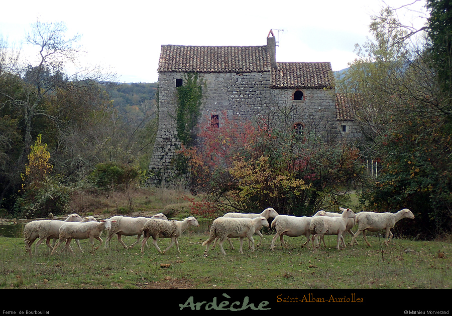 20161113_bourbouilletferme