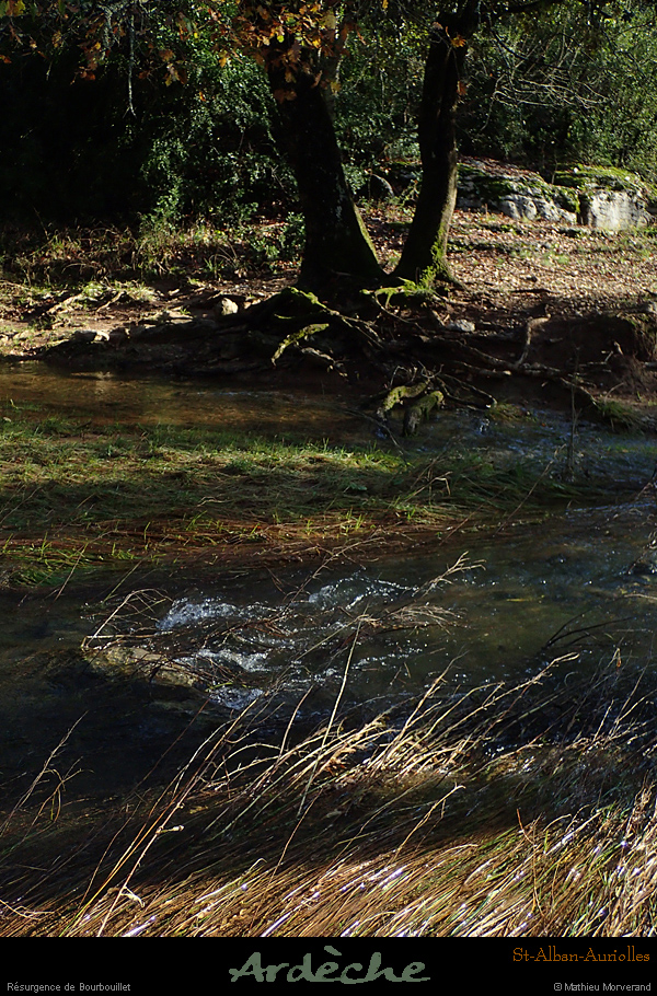 20161127_bourbouillet_ruisseau